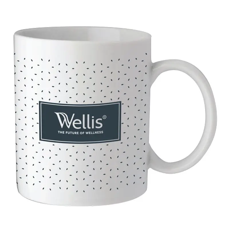 Kubek porcelanowy Wellis 330ml